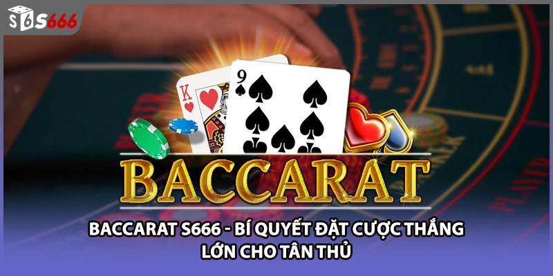 Baccarat S666 - Bí Quyết Đặt Cược Thắng Lớn Cho Tân Thủ