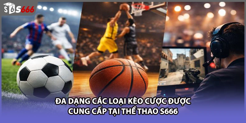 Đa dạng các loại kèo cược được cung cấp tại thể thao S666