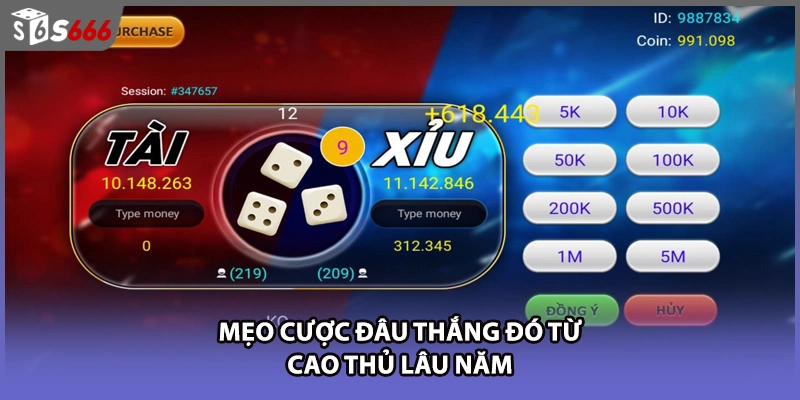 Mẹo cược đâu thắng đó từ cao thủ lâu năm